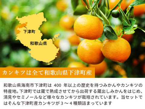 【食べ比べ】みかん・カンキツ詰め合わせセット5kg｜和歌山県海南市下津町から旬のみかん・かんきつ詰合わせセットを産地直送、農園直送でお届け。清見、セミノール、甘夏、八朔等、様々な柑橘が楽しめます