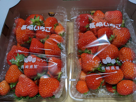 【完熟🍓】恋みのり🍓ジャム用・スムージー用バラ詰めイチゴ（約600g×2パック）