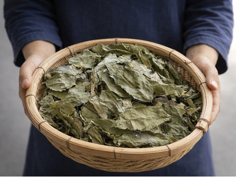 ほんのり甘い、長野県箕輪町の杜仲茶（30包×3パック）アルプスが育む、心とからだを整える、ノンカフェインティー