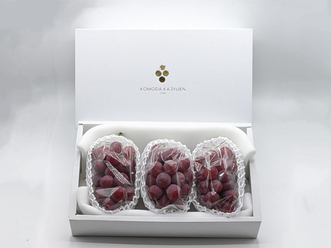 果実の女王、ルビーの輝き【プレミアムギフト】クイーンルージュ®約500g×3房　合計約1.5kg　※長野県認証/農薬節減栽培（信州の環境にやさしい農産物認証）【冬ギフト】