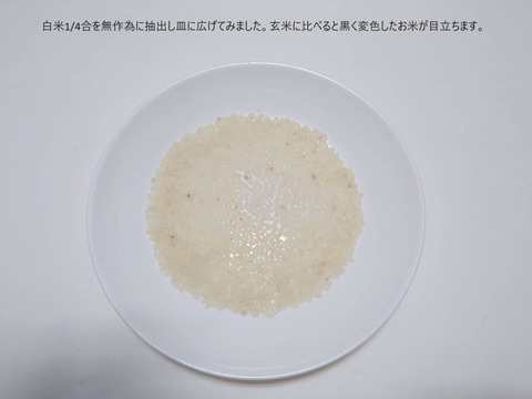 【2024産】　白米　きぬむすめ　(約5.0㎏≒33合)