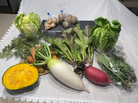 旬こそ命！旬のおすすめ野菜セット＊5品目以上～農薬/化学肥料・不使用