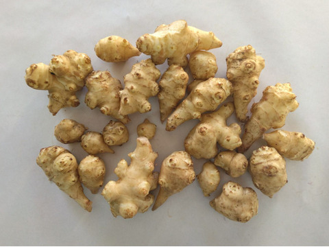 1kg⭐️スーパーフード⭐️菊芋⭐️《OPENセール！特価！》