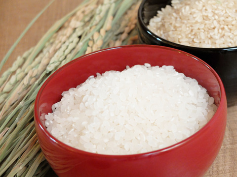【自然栽培 ササニシキ】和醸米 白米 2kg