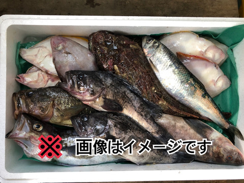 未利用魚ボックス 5kg前後 【知床羅臼直送】(鮮魚ボックス梅コース)