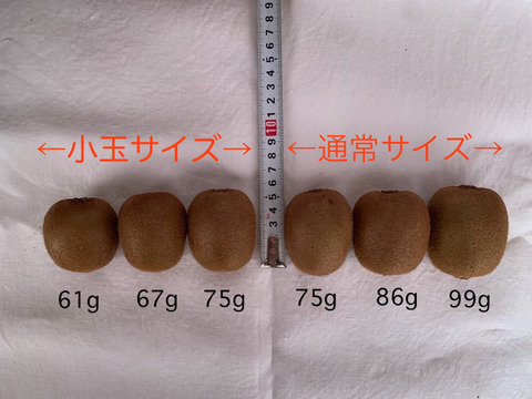 まじりっけなし！自然栽培 農薬不使用の｢小玉キウイフルーツ｣１ｋｇ