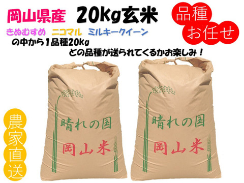 品種お任せ 食べ比べ「ミルキークイーンorにこまるorきぬむすめ」岡山県産 玄米 20kg