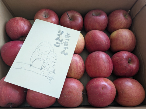 【極小玉・バラ詰め】サンふじ🍎家庭用約2.7Kg🍎毎日りんご　コスパ抜群　青森県産　数量限定