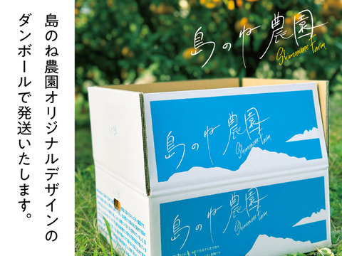 みかん 有機栽培 島のね農園【訳あり/愛媛みかん/栽培期間中農薬不使用/3kg】