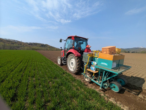 《北海道生まれ♩》きたかむいL.2Lサイズ5kg