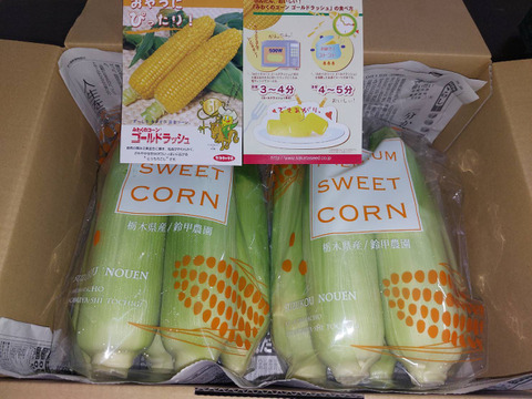 【夏ギフト】【朝どれ】一度食べたらやみつき！ジューシーで甘～いとうもろこし【10本】