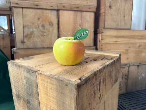 【冬ギフト】🍎『希少！』ぐんま名月🍎約3キロ8〜11玉(家庭用)ID177902