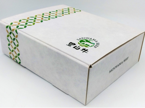 【母の日ギフト】サーロインステーキ & 大人気！里山牛ハンバーグ特別限定セット（カーネーション・メッセージカード付き）