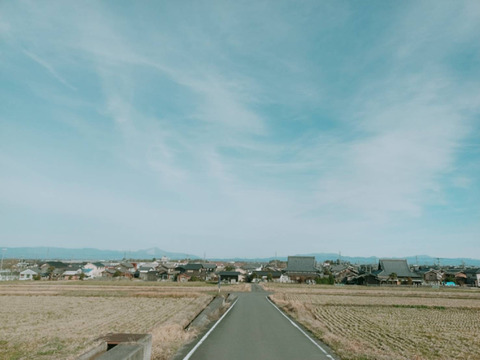 異国感じるお米！『サリークィーン』白米1.5kg