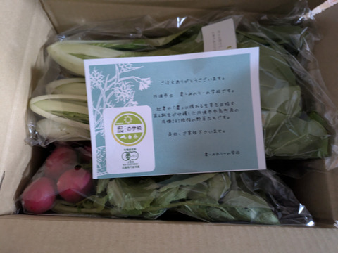 【有機JAS】旬の野菜セット お試しサイズ　3-4品目（60サイズ）