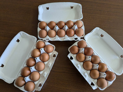 【予約】 濃厚な味わい！平飼い卵なちゅら 10個入×3パック：大分県産の その他