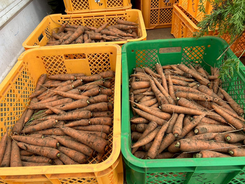自然の甘みがぎゅっと詰まった！農薬不使用にんじん 5kg（農薬・化学肥料・除草剤・防虫剤不使用／家庭用サイズ）