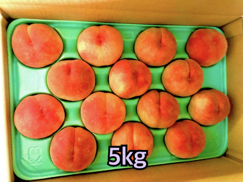 桃　あかつき　良品　約5kg (12個〜18個)数量限定