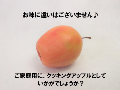 【超希少品種！】果肉まで赤～いりんご「御所川原（ごしょがわら）」B品不揃い（2.2kg強)