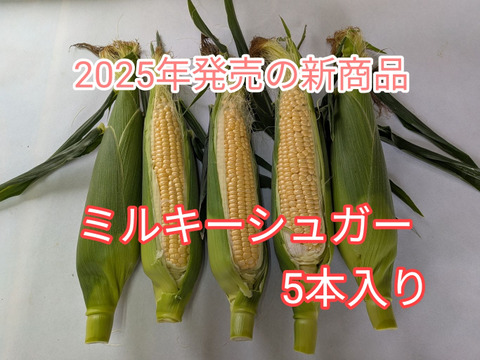 【ミルキーシュガー】5本入り 2025年発売の新商品