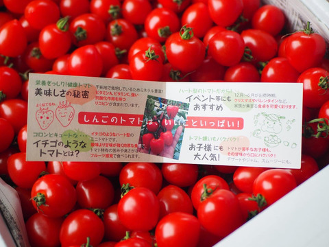 お得な3kg❗️イチゴのようなハート型のトマト☆トマトベリー
