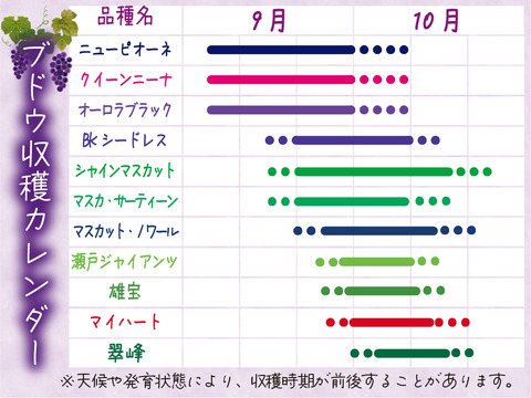 花笑み農園　岡山のピオーネ＆シャインマスカット1kg【9/18～順次発送】PS-1