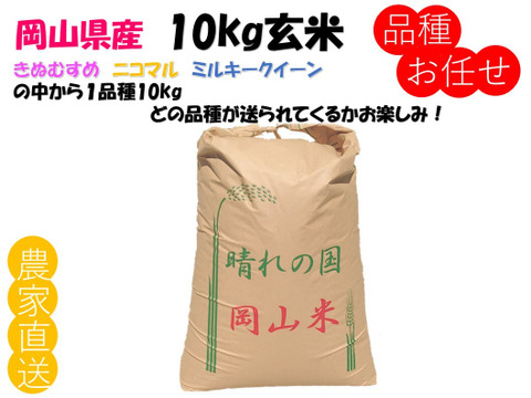 品種お任せ「ミルキークイーンorにこまるorきぬむすめ」岡山県産 玄米 10kg