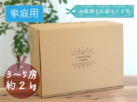花笑み農園　岡山のオーロラブラック２kg（３～５房）家庭用【9/10～順次発送】A-2家