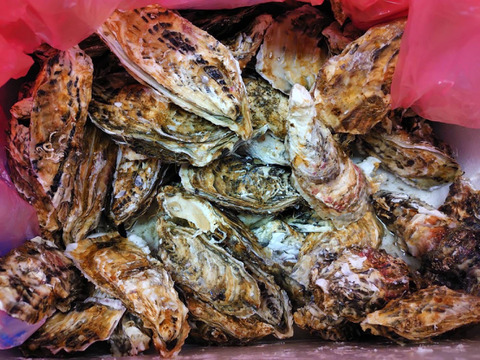 『旬』到来！　バラ牡蠣　生食用 15kg （110~140個くらい）