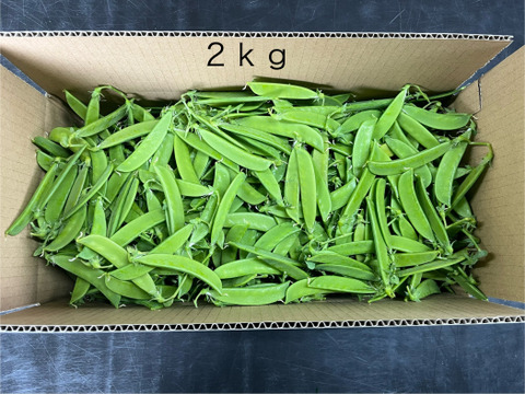 和歌山県産【絹さや】（秀品）2キロ