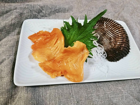 天然活赤貝！周防大島産！大中サイズセット