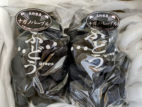 トウモロコシ　ナガノパープル2房×2箱 ナガノパープル2房入 約800g：長野県産のナガノパープル｜食べ
