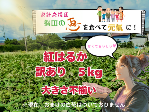 ネットリ甘ーい紅はるかを愛情価格でお届け！(５kg）