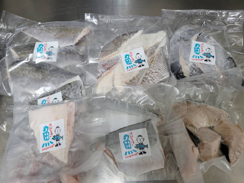 【福袋】お魚加工ノ-マル、ヨコ(クロマグロ子供)お刺身用セット