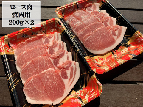 希少部位入り！焼肉用豚肉１.６kg詰合せ★６部位を食べ比べ！