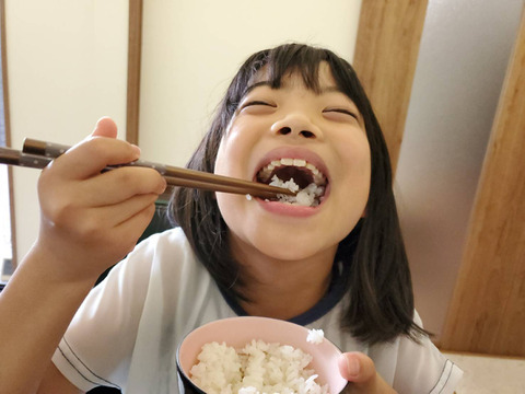 新米【令和5年】モリモリ食べれる！お得なセット！村上市桃川産　特別栽培米コシヒカリ５ｋｇ、新之助５ｋｇ（１０ｋｇ）