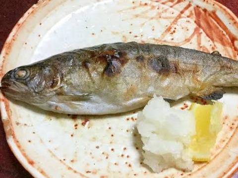 虹の味わい！ニジマス(B)
