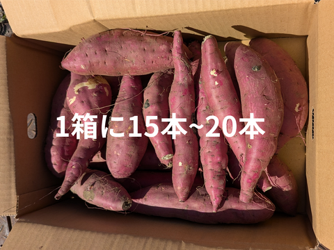 ネットリ甘ーい紅はるかを愛情価格でお届け！(５kg）