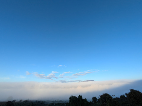 りんご　フジ　農協規定栽培　18-23個　約7
キロ　家庭用　大小様々　キズ等、多少有り！