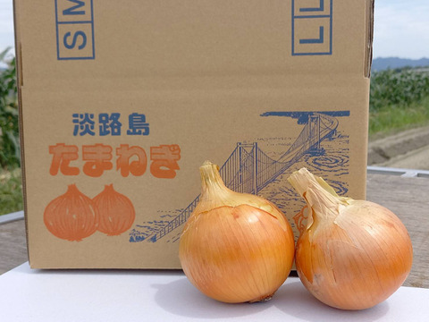 🧅5kgちょっと訳あり🧅甘トロ〜完熟玉ねぎ（箱込み）淡路島☆