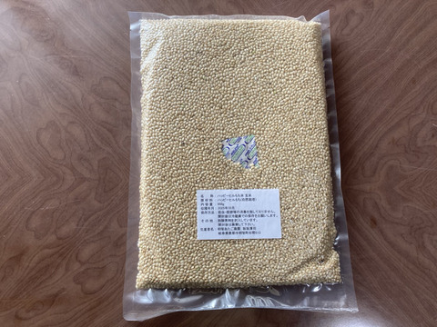 【自然栽培】ハッピーヒルもち米　玄米950ｇ　農薬不使用・無肥料栽培　令和７年　岐阜県産【クリックポスト発送】