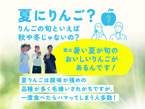訳あり おぜの紅  5キロ箱商品 ID36253長野県 信州 安曇野 リンゴ 幻 幻のリンゴ 予約 希少 旬