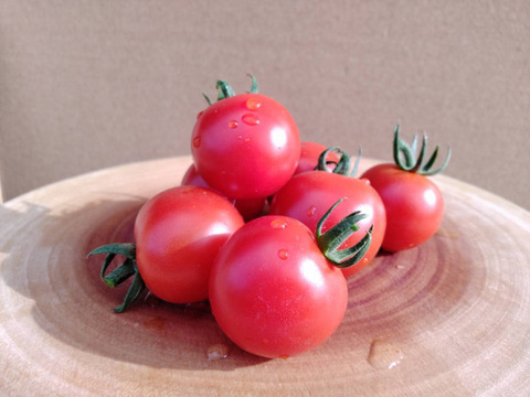 新品種！しっかりとした食感！甘味と酸味！「276」1kg