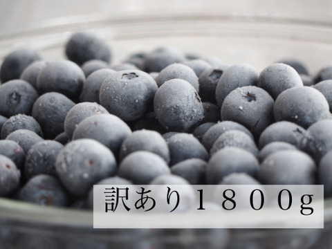 農薬不使用【訳あり】1800g大粒冷凍ブルーベリー