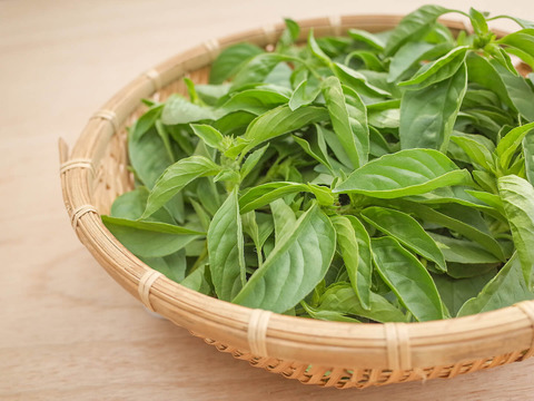 採れたて！新鮮ライムバジル 100g 【農薬化学肥料不使用】