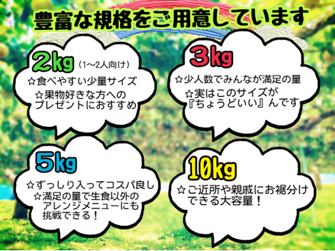 令和7年8月発送【予約】梨 幸水 良品5kg‼️長野県産