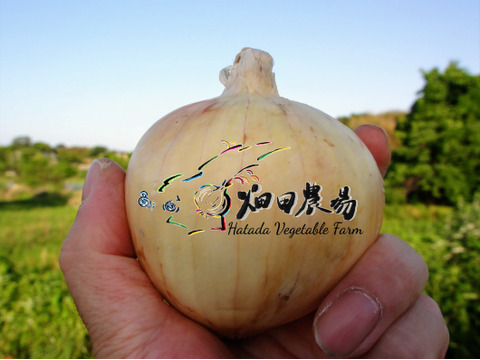 《自然栽培・食品ロス》 淡路島産 人に優しい 旨味「玉ねぎ」(晩生)３ kg 
【2020年最優秀賞受賞／2022年SDG'sエバンジェリスト認定取得】