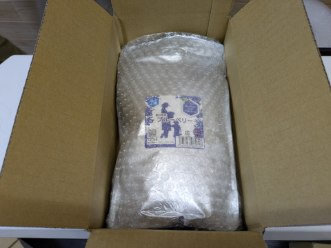 【愛知県産】シャキッとおやつ感覚冷凍ブルーベリー（400g x 2パック）