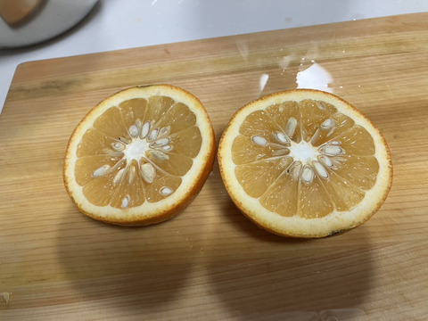 鹿児島県産「農薬不使用・橙」