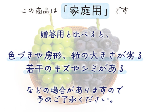 花笑み農園　岡山のピオーネ＆シャインマスカット食べ比べ　1.8kg（3～4房）家庭用【9/18～順次発送】PS-2家